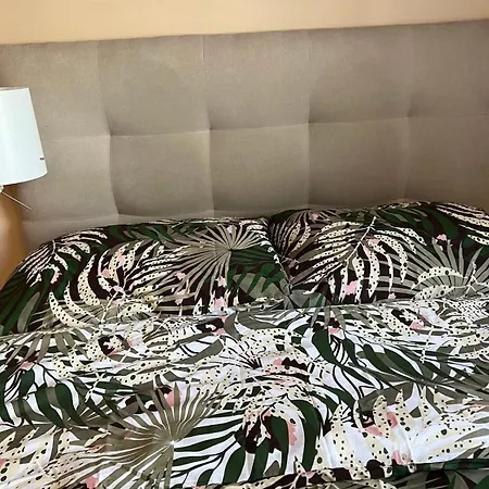 Apartmán Przy Parku Centralnym 2 *